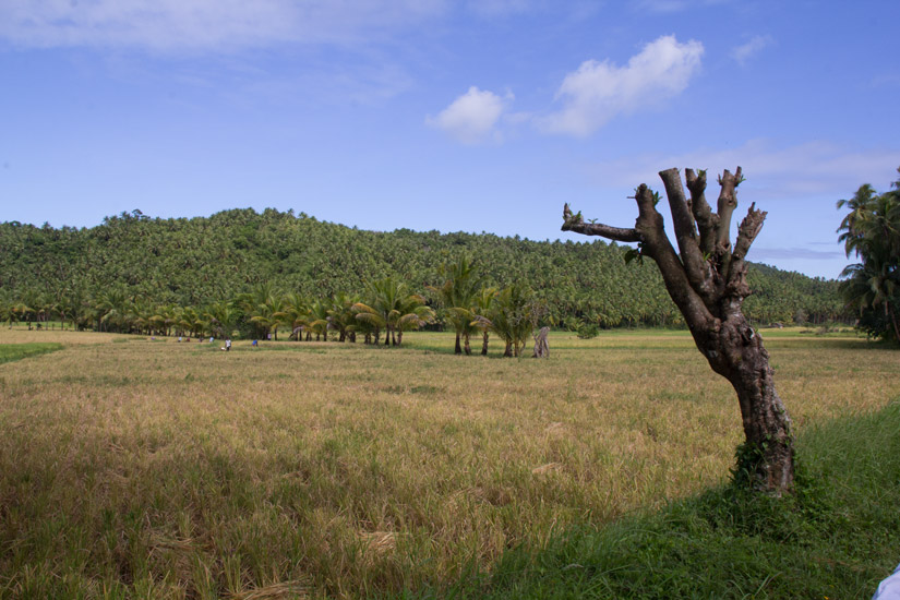 siargao_landscape