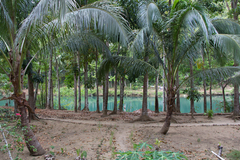 bohol_river