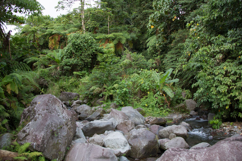 camiguin_secret-paradies-2