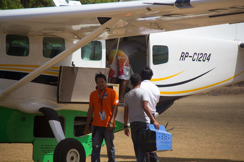cuyo-islands_air-juan_chicken