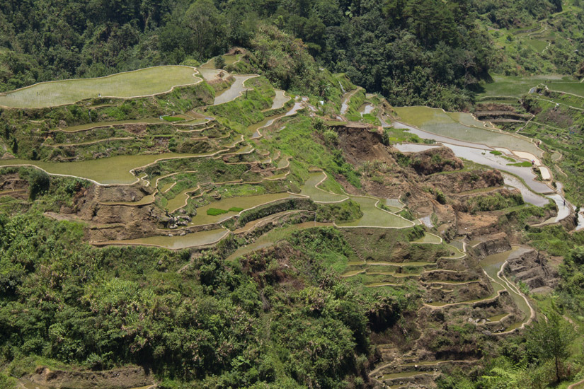 Luzon_Banaue_rice-terrace-3
