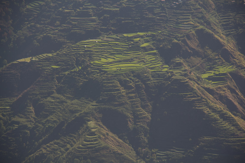 Luzon_Kabayan_rice-terrace-2