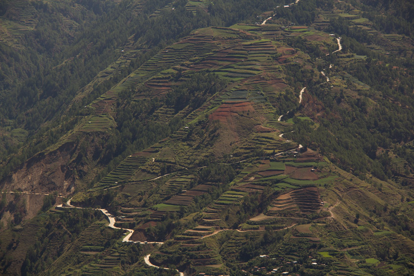 Luzon_Kabayan_rice-terrace