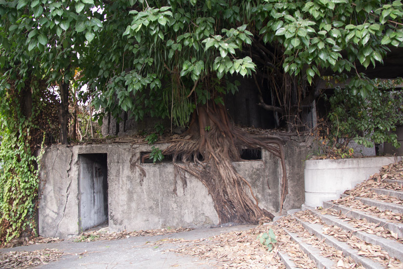 Luzon_Manila_Cemetery-4