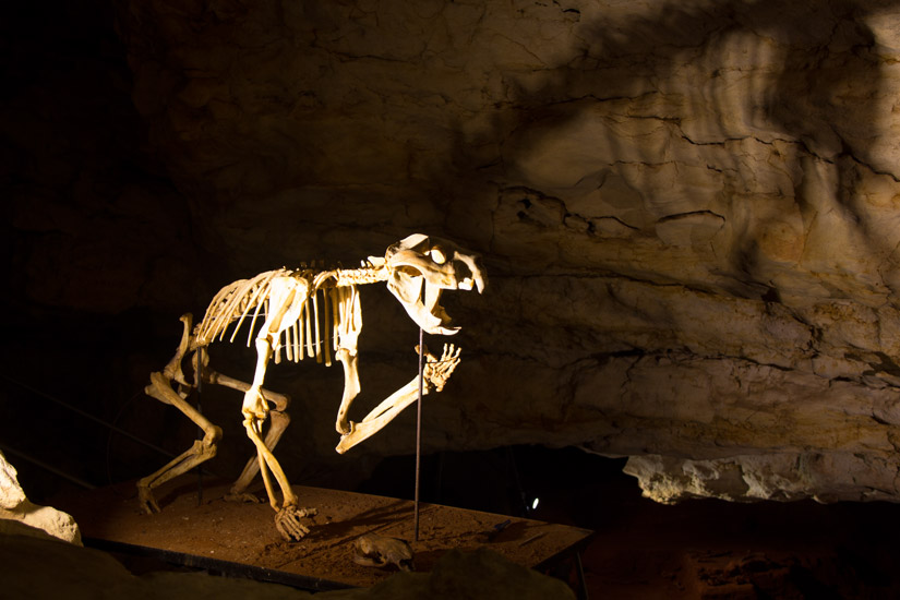 14_Naracoorte-4