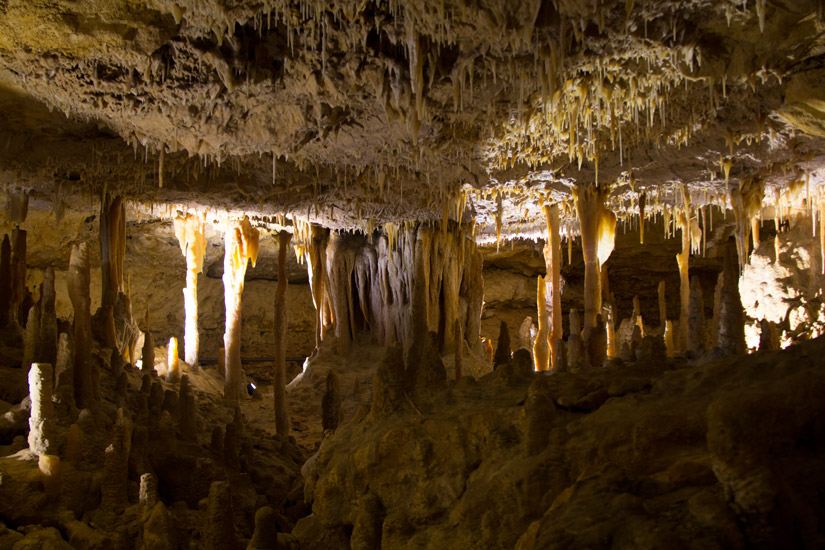 14_Naracoorte