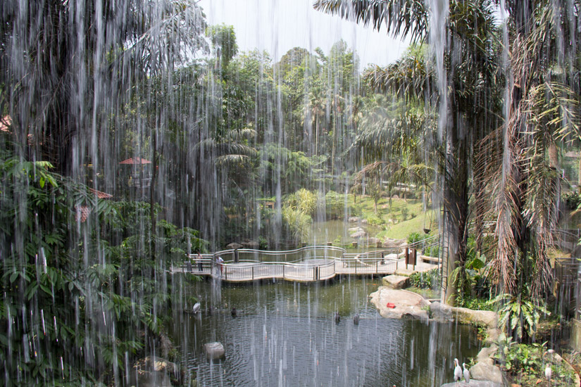 7_Kuala-Lumpur_Bird-Park