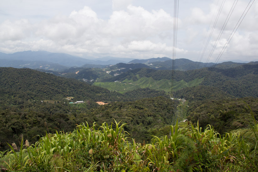 8_Cameron_Highlands_2