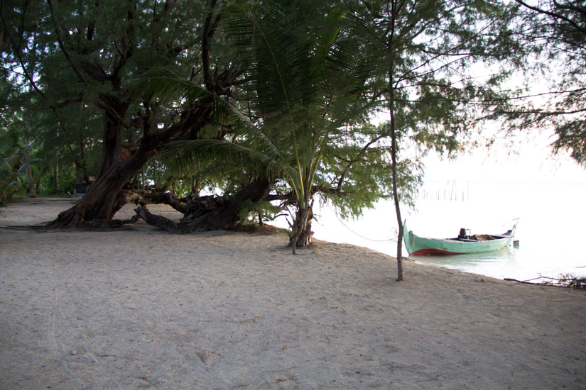 Jawa_Karimunjawa_Island-2