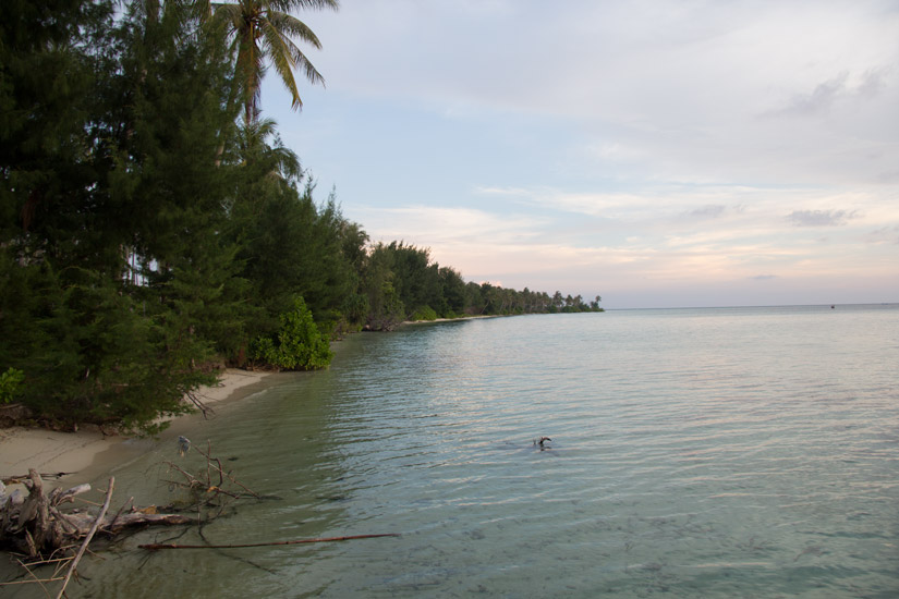 Jawa_Karimunjawa_Island-3