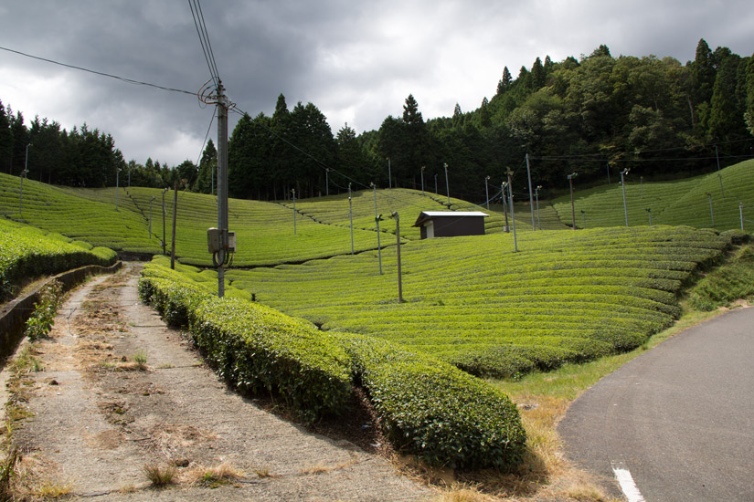 11_On-the-Road-4
