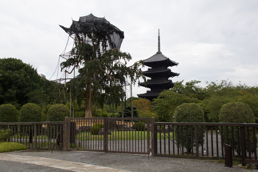 13_Kyoto_Tō-ji