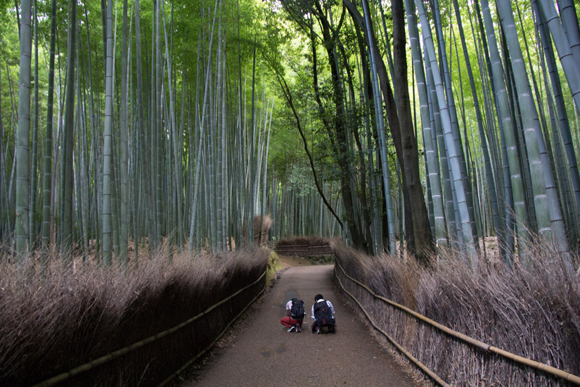 17_Kyoto_Arashiyama-2