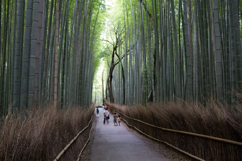17_Kyoto_Arashiyama