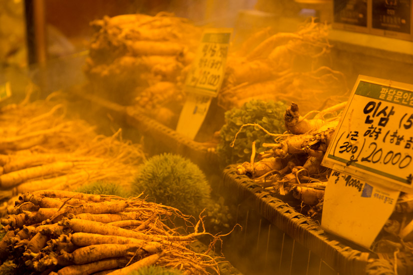 5_seoul_hwaseong_fortress-5