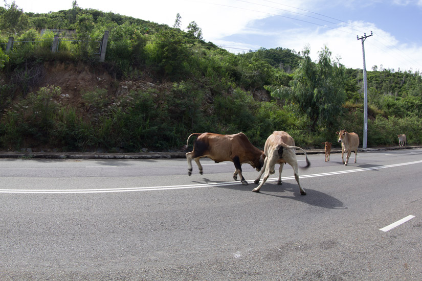 18_on-the-road-2