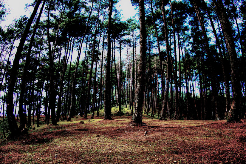 2_ha-giang-loop-5