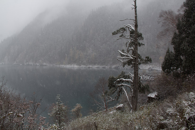 3_jiuzhaigou-national-park-10