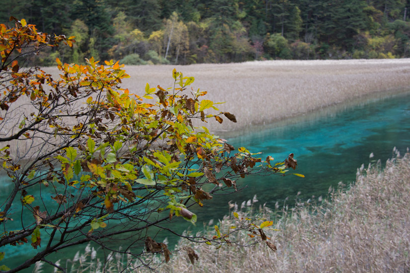 3_jiuzhaigou-national-park-13