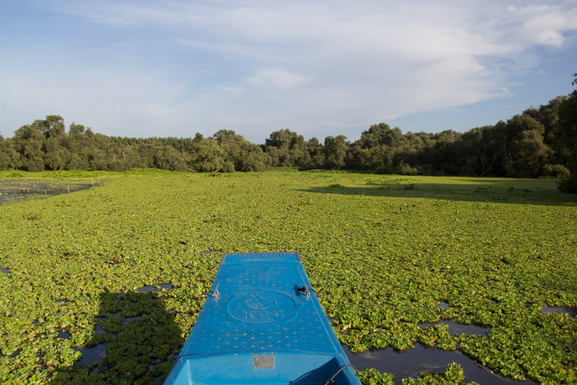 5_mekong_chau-doc-2