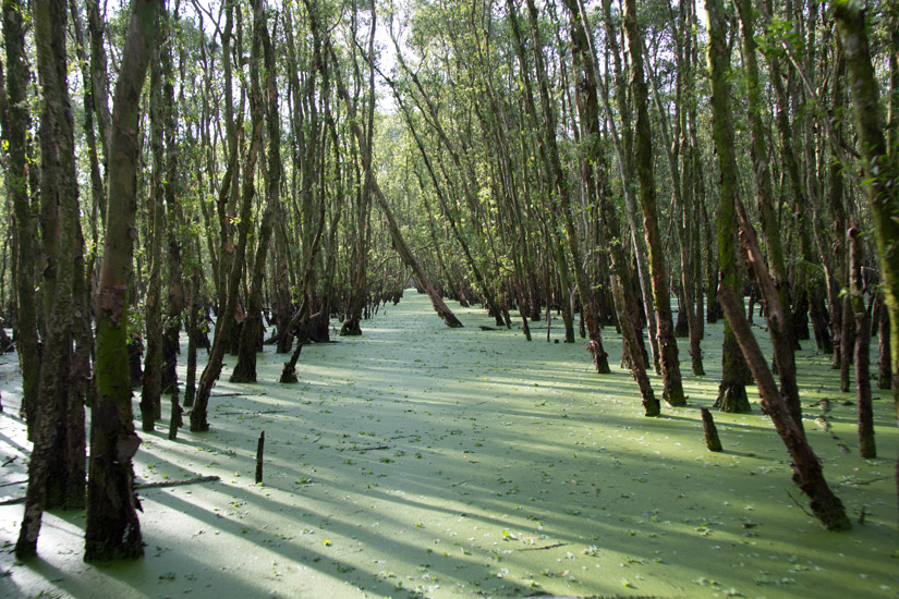 5_mekong_chau-doc-4