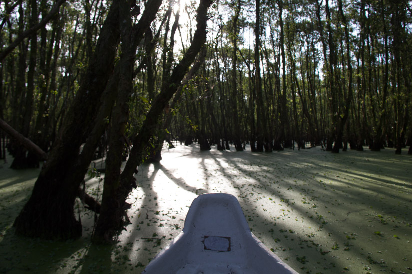5_mekong_chau-doc-6