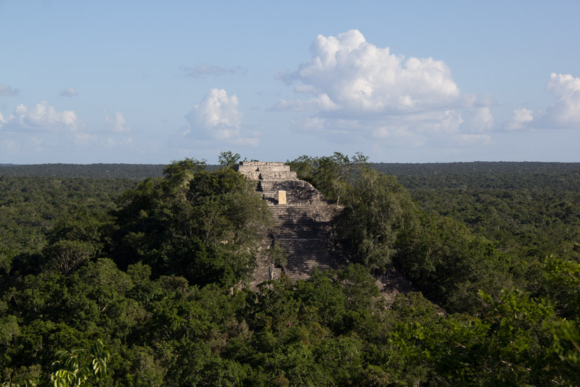 7_calakmul-temple-ruins-3