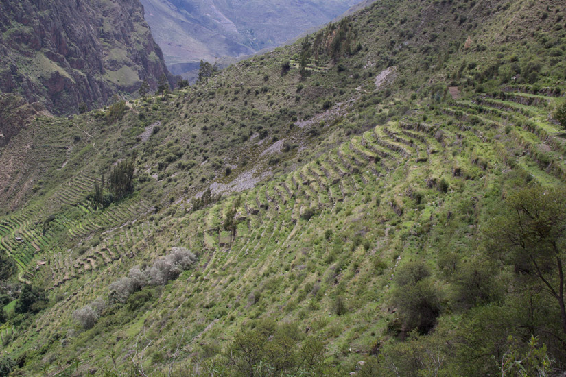 14_Ollantaytambo-Pumamarca-8