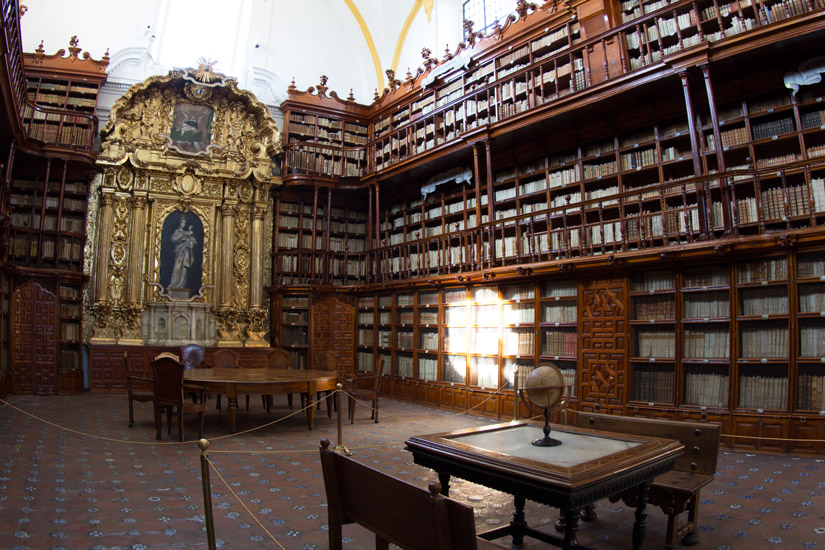 3_mexiko_puebla_library-3